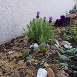 Kuca Za Odmor L&l Villa *